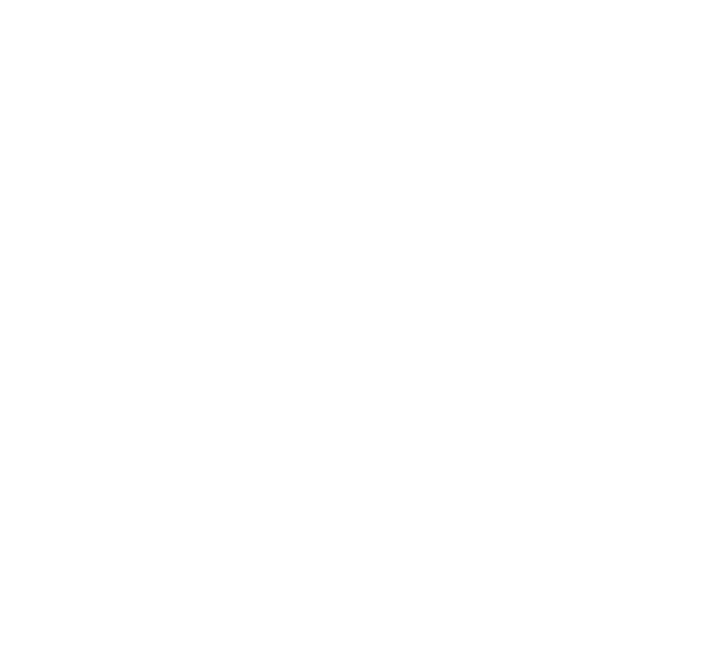 Nessy Consulting - Conseil RH